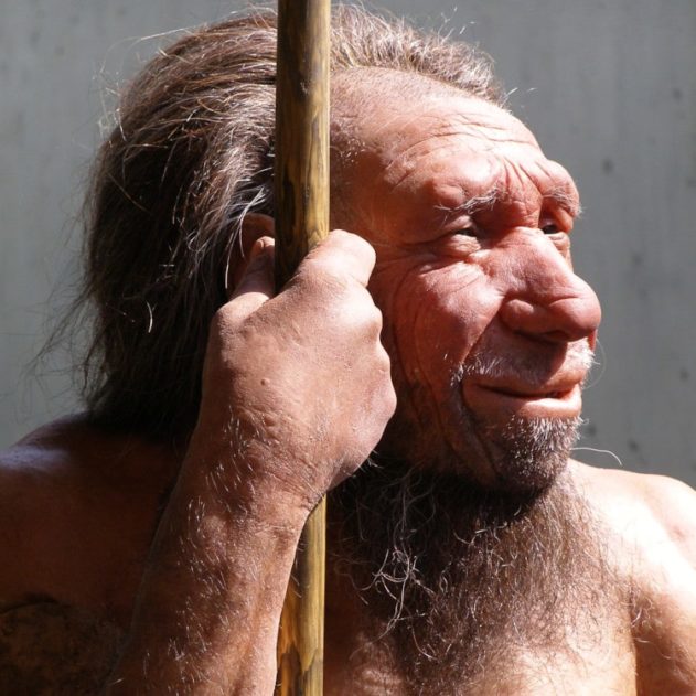 covid-19 grave héritage génétique néandertal