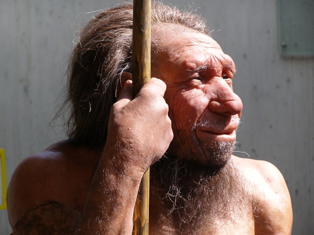 covid-19 grave héritage génétique néandertal