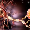 hydrogel conducteur pour guerir lesions nerveuses