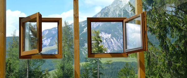 innovation bois completement transparent pourrait remplacer vitrage conventionnel