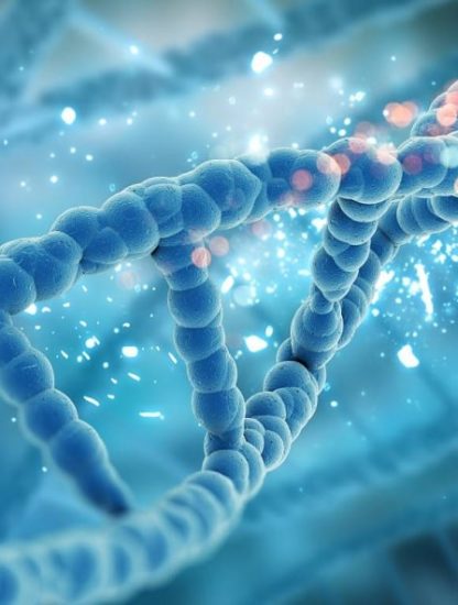 mécanisme réparation dommages ADN restauration fonctions cellulaires couv
