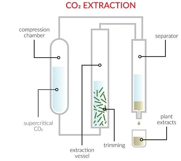 processus extraction huile cbd chanvre co2