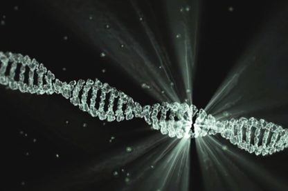 transport outils édition gènes CRISPR vivo