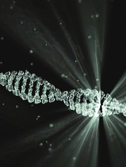 transport outils édition gènes CRISPR vivo