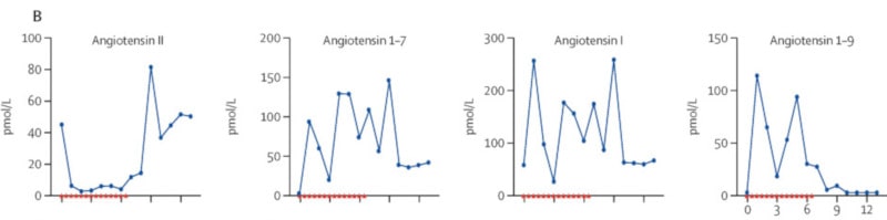 concentrations angiotensines traitement ACE2 soluble