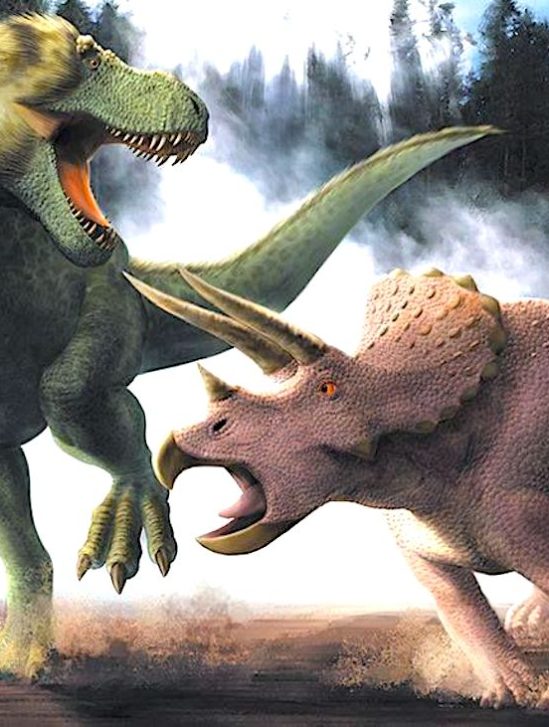 fossile t-rex triceratops bataille revele public
