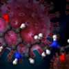 melatonine potentiel traitement covid-19