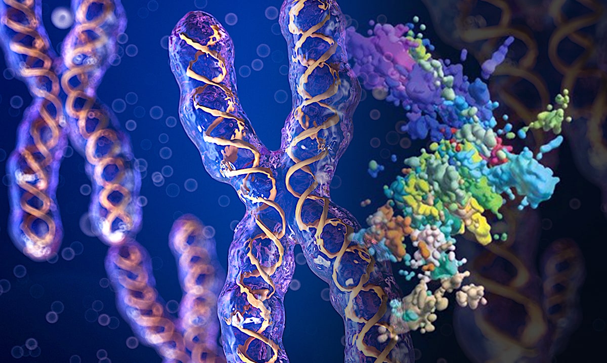 Dna Helix Colorful Genes Chromosomes Dna Sequence Dna Structure With Glow  Science Concept Background Stock Photo - Download Image Now - iStock