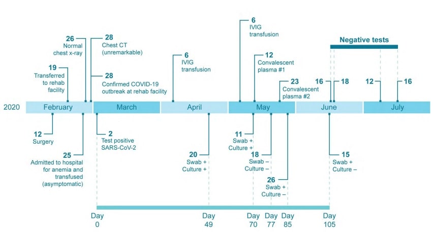 schéma chronologie infection covid