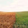 terre auto arrosante pourrait transformer agriculture