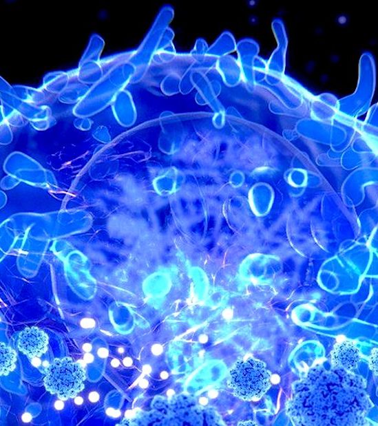 cellules t genetiquement modifiees therapies pour maladies auto-immunes