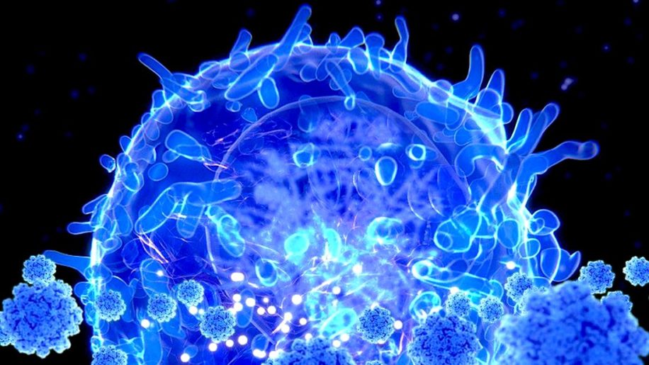 cellules t genetiquement modifiees therapies pour maladies auto-immunes