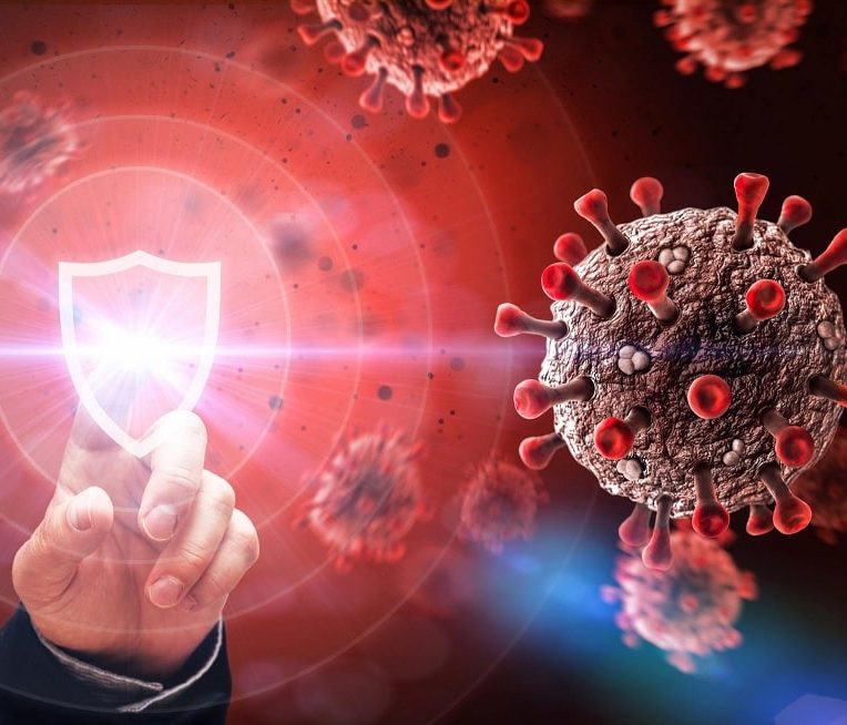 covid chercheurs testent protocole immunite immediate