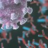 covid induirait forme maladie autoimmune cas plus graves