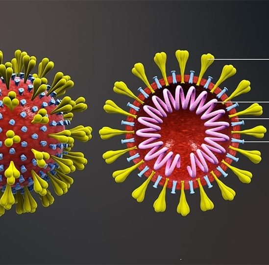 nouvelle variante coronavirus impact vaccins
