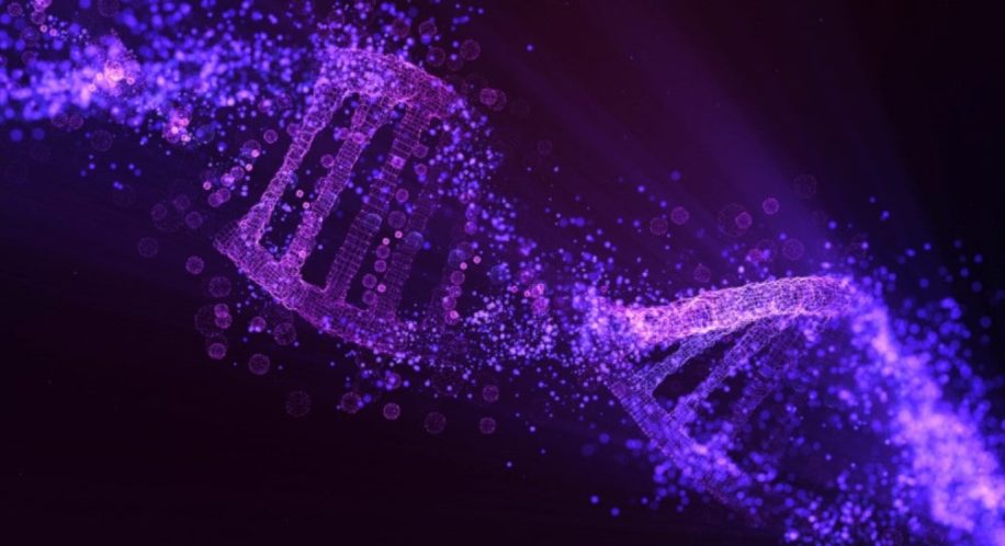 origine vie mélange ADN ARN