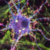 psychotrope traiter depression addiction sans hallucinations
