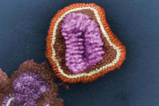 virus grippe details microscope