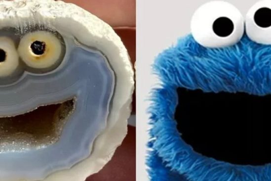 agate cookie monster