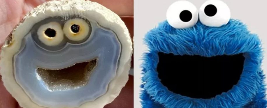 agate cookie monster