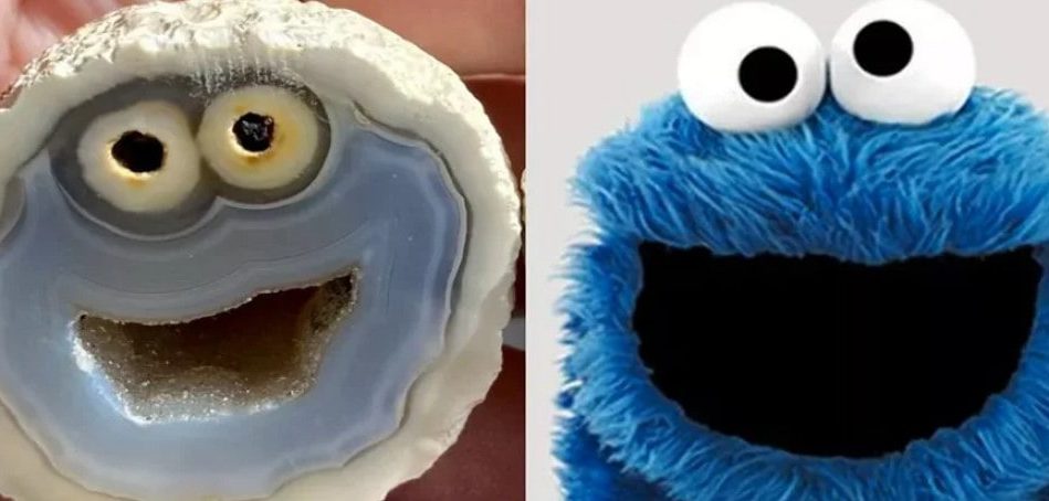 agate cookie monster