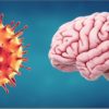 comment covid affecte cerveau
