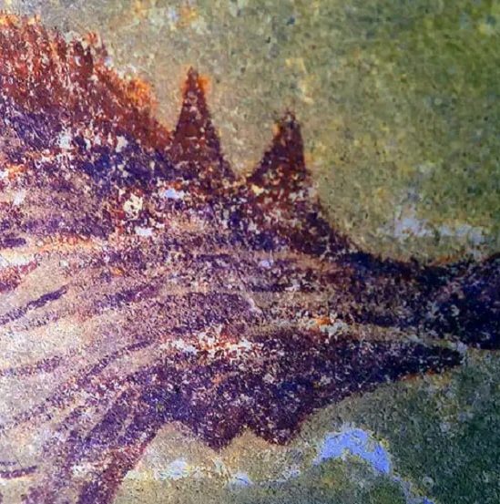 decouverte peinture animaux connue grotte indonesienne