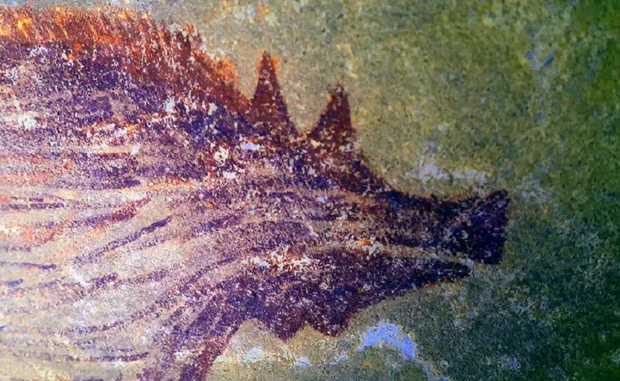decouverte peinture animaux connue grotte indonesienne