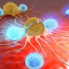 eliminer cancer liberant systeme immunitaire