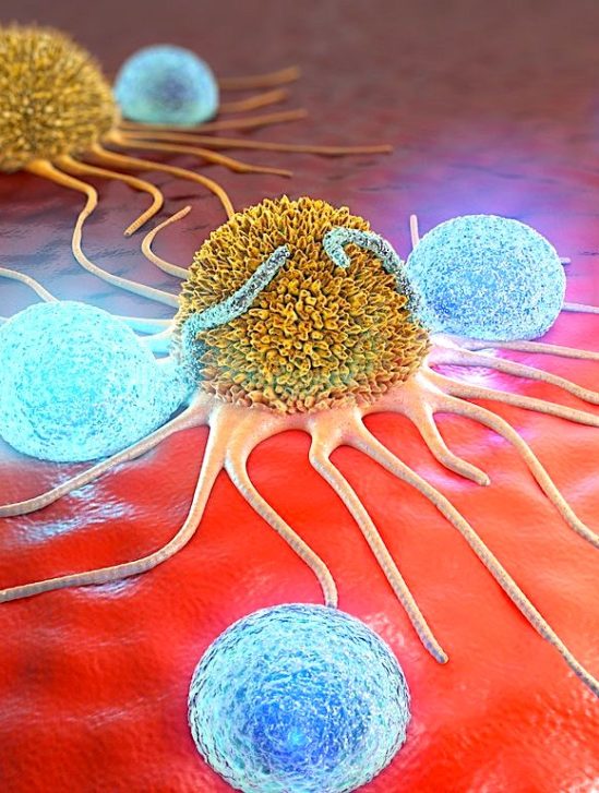 eliminer cancer liberant systeme immunitaire
