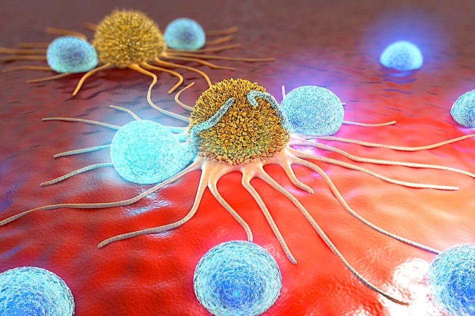eliminer cancer liberant systeme immunitaire