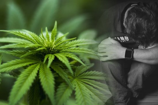 etude long terme revele mefaits cannabis