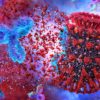 nouvel anticorps protege sars-cov-2 et variants empeche mutations