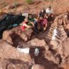 os fossilises plus grand dinosaure jamais decouvert