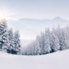 pourquoi neige est blanche