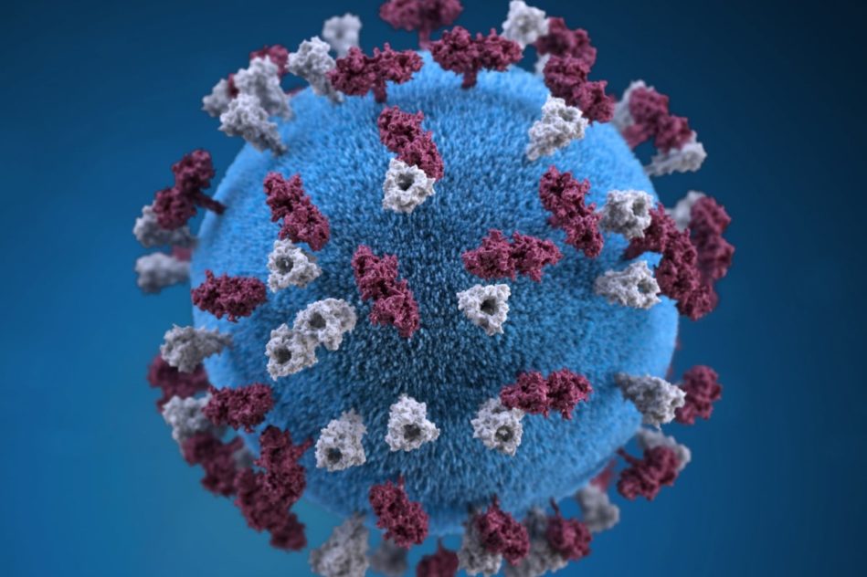 variants virus Etats-Unis