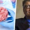 bill gates pays riches devraient passer boeuf synthetique