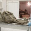 chercheurs russes traquent virus prehistoriques pergelisol