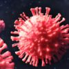 coronavirus variante britannique pourrait provenir une seule personne