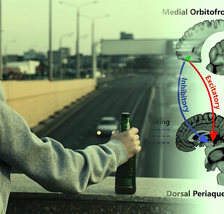 identification potentielle origine neuronale alcoolisme