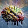lsd libere cerveau contraintes anatomiques couv