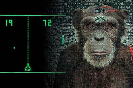 neuralink singe joue jeux video avec pensee