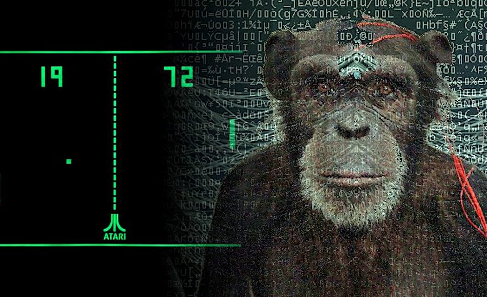 neuralink singe joue jeux video avec pensee