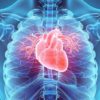 pourquoi cancer coeur est extrememement rare