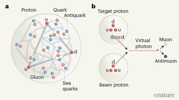 structure proton quarks antiquarks