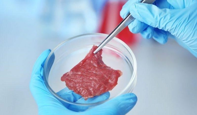 viande boeuf synthetique laboratoires