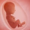 avenement uterus artificiels quelles consequences pour femmes