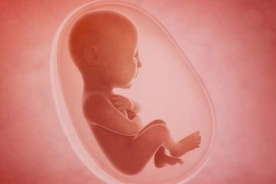 avenement uterus artificiels quelles consequences pour femmes