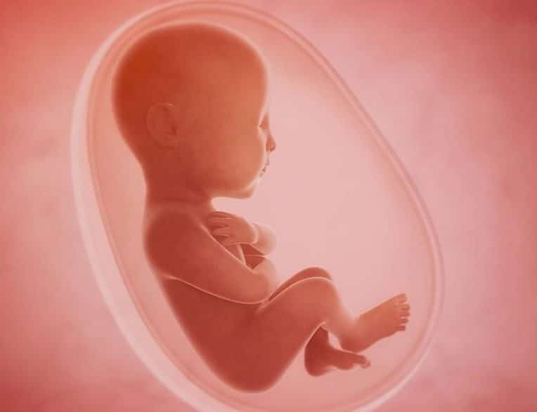 avenement uterus artificiels quelles consequences pour femmes