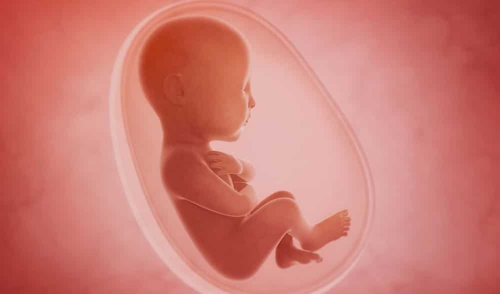 avenement uterus artificiels quelles consequences pour femmes
